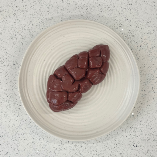 Ox Kidney